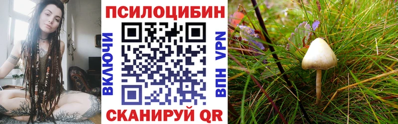 Галлюциногенные грибы Cubensis  OMG ссылки  Саров 