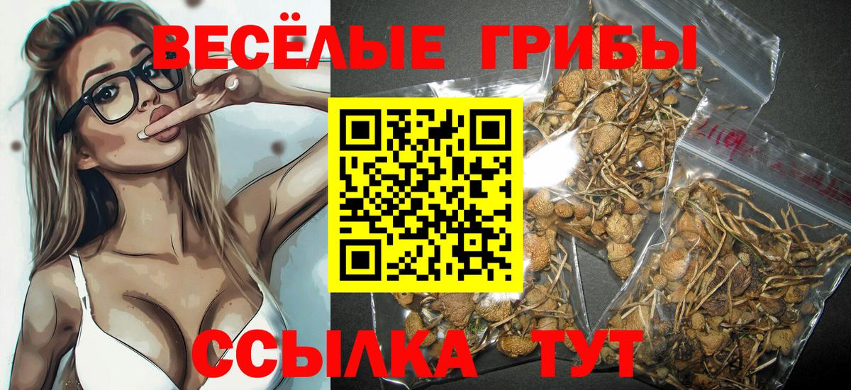 Псилоцибиновые грибы ЛСД Саров